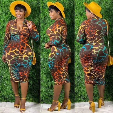 Rainbow Leopard Dress 